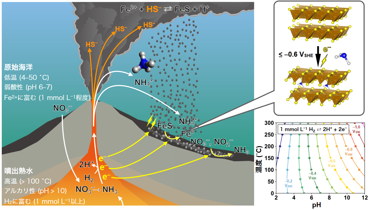 太古の深海熱水噴出孔環境におけるアンモニアの濃集機構を実証
