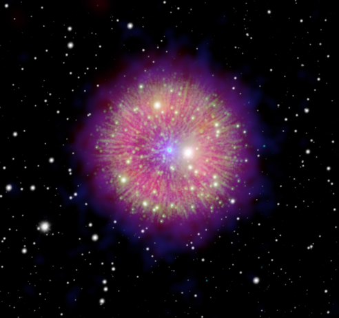 吾妻鏡に記された超新星が遺した奇妙な天体～歴史的記録と最新科学の融合が解明する、SN 1181の研究成果～