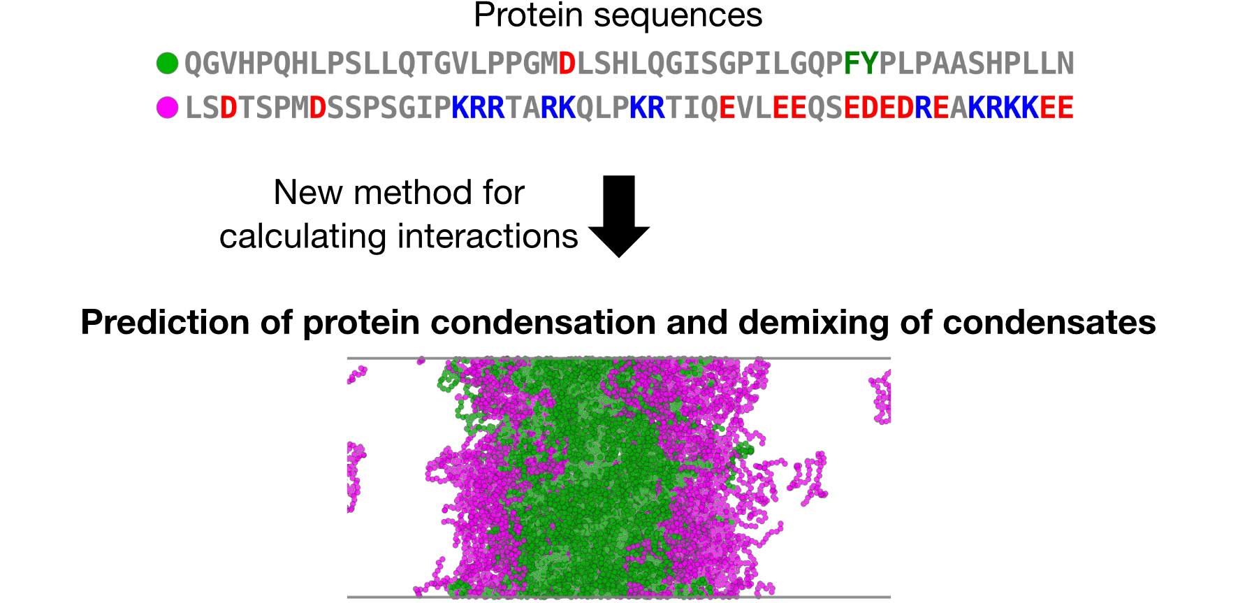 Decoding protein condensation