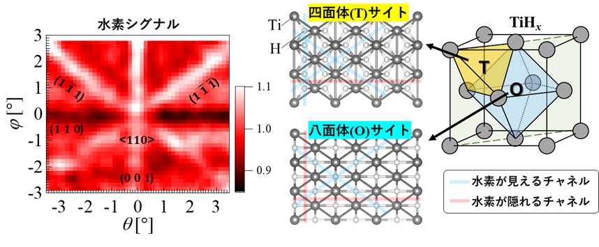 量子ビームで結晶中の水素配置を可視化