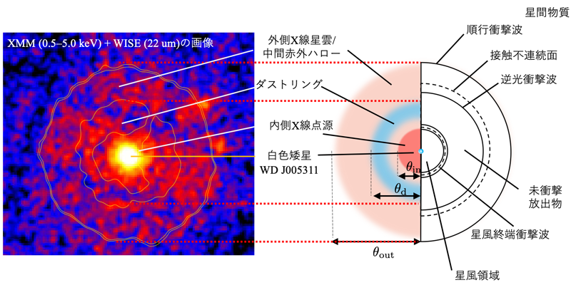 吾妻鏡に記録された客星の正体を探る