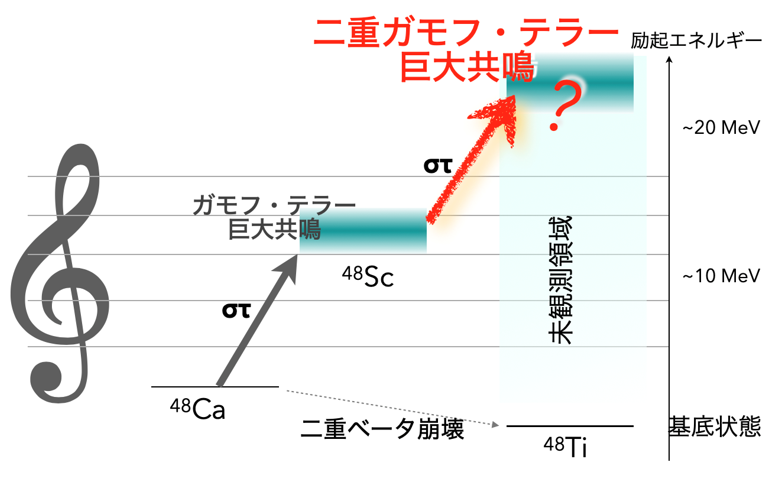 二重ベータ崩壊に類似した巨大共鳴状態の候補を観測～重イオン反応を用いた新たな研究の開拓～