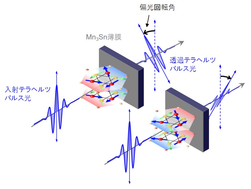 反強磁性金属薄膜のテラヘルツ異常ホール効果を観測