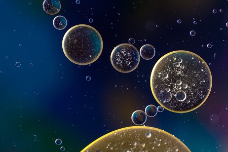 【UTokyo FOCUS】Is life a game of chance? 