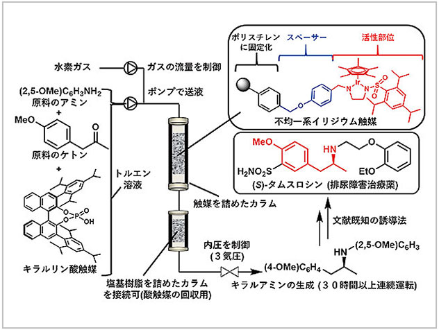 学部生に伝える研究最前線　医薬品の原料になるキラルアミンを連続生産