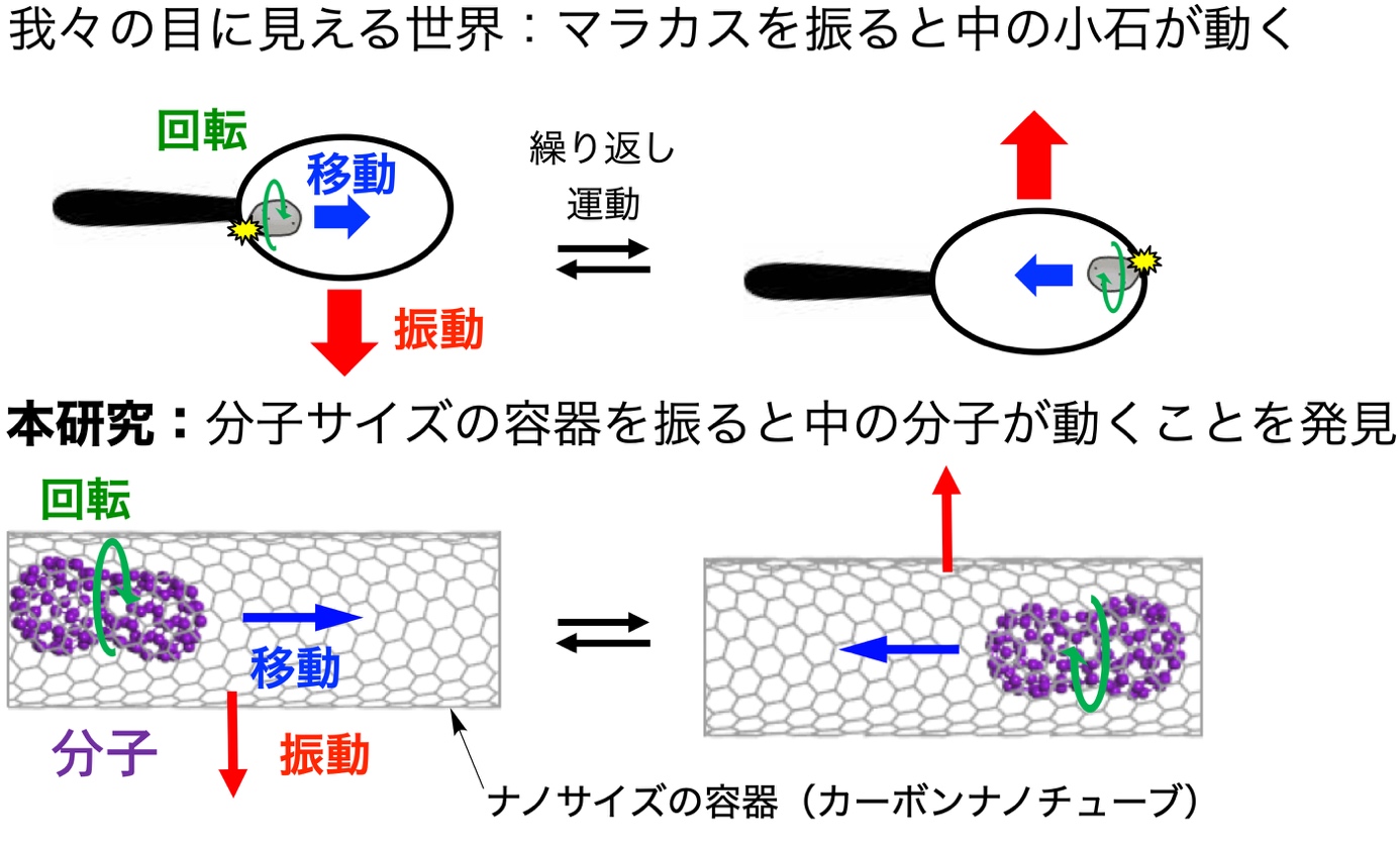動く分子の世界最高速での動画撮影