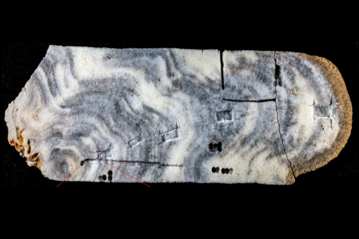 【UTokyo FOCUS】Coral skeletons record history of reef deterioration 