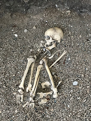 Mysteries in Science: Why has only<em> Homo</em> sapiens survived?