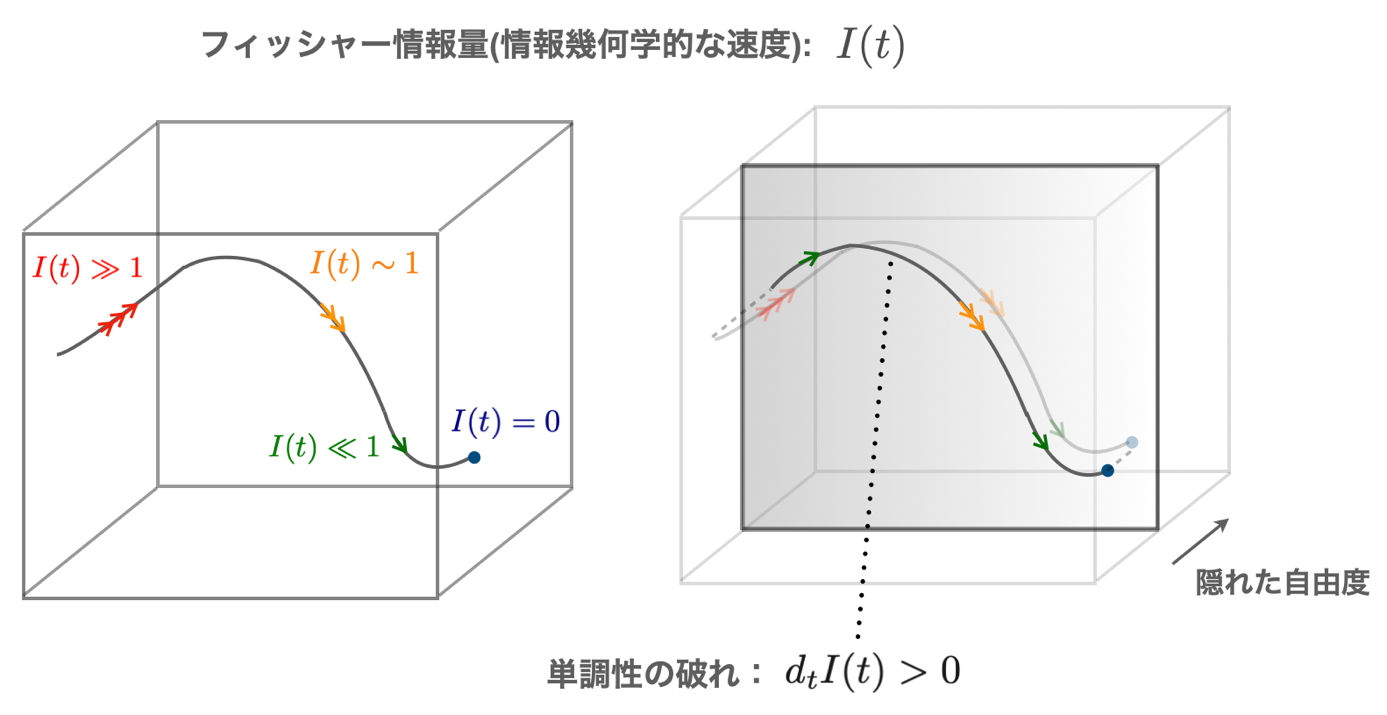 情報による観測量の変化速度の熱力学的な限界を発見