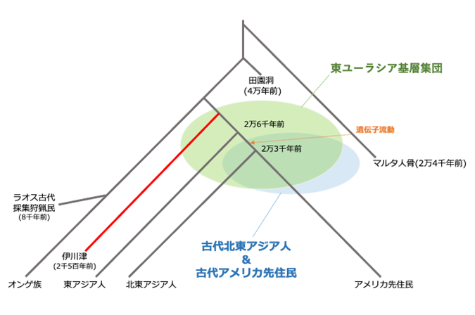 縄文人ゲノム解析から見えてきた東ユーラシアの人類史