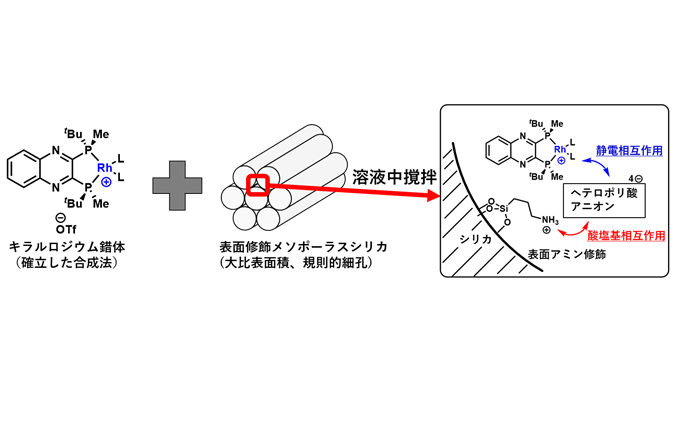 Developed a method for the continuous synthesis of chiral amines for use as raw materials for pharmaceuticals and other products.