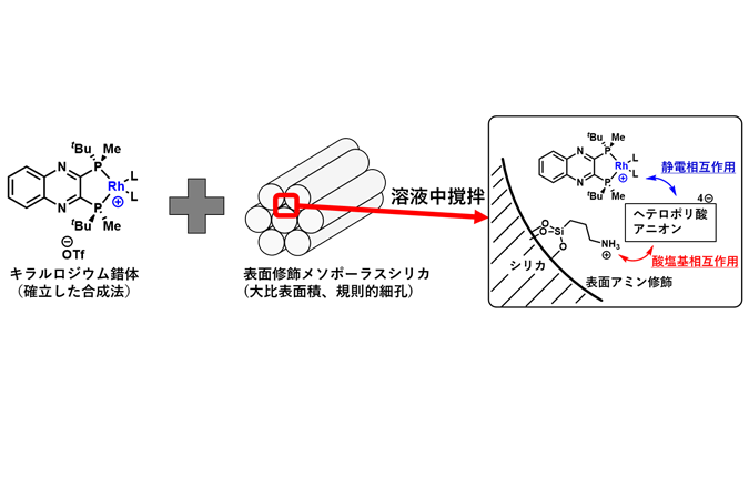 医薬品等原料となるキラルアミンの連続合成法を開発