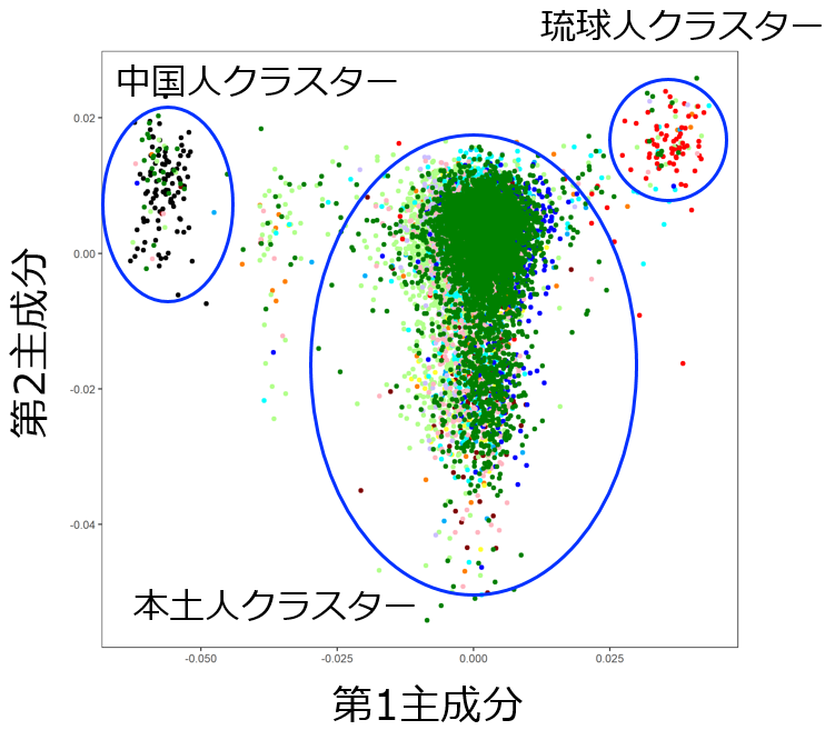 都道府県レベルでみた日本人の遺伝的集団構造