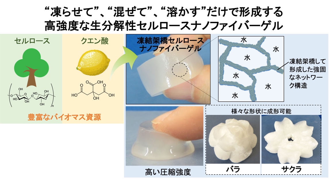 凍らせて、混ぜて、溶かすだけ 高い強度と成型性を持つ新しいゲル材料を開発
