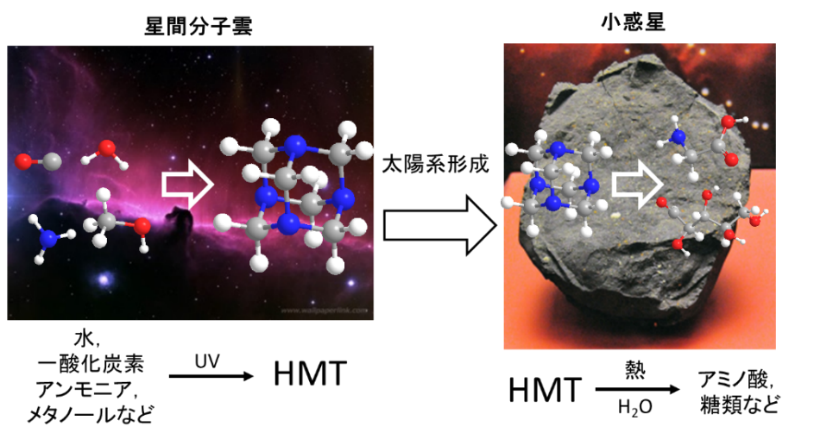 Organic Molecules Older than the Formation of the Solar System Detected in Carbonaceous Meteorite