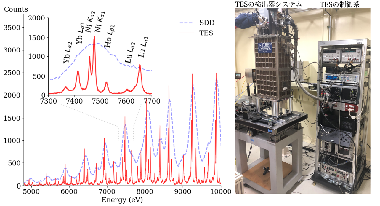 Successful fluorescence XAFS analysis using superconducting transition edge detector TES