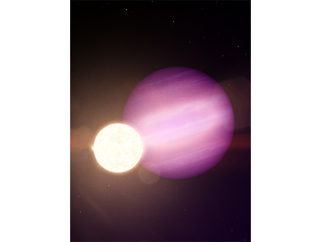 Research Student's Frontiers in Research Discovery of a Giant Planet Candidate Orbiting a White Dwarf Star  