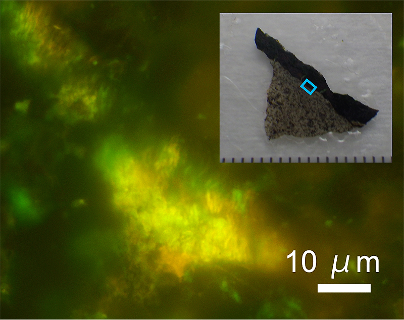 科学の謎暗黒生物圏研究のフロンティアを照らす 