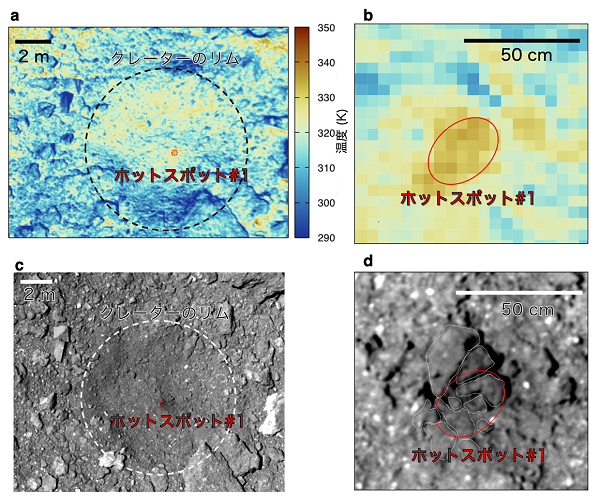 Discovery of the most primitive rocks on Ryugyu
