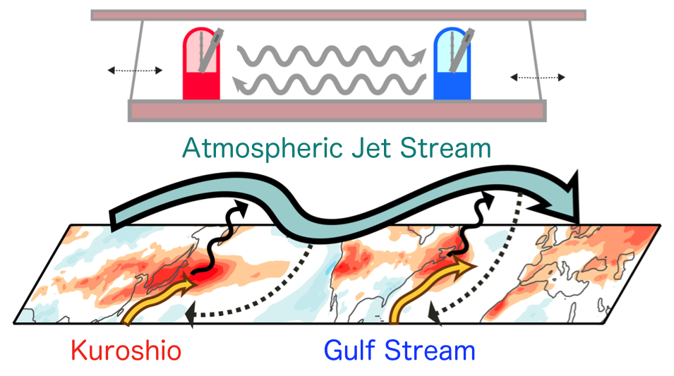 Synchronicity discovered in the Gulf Stream and Kuroshio