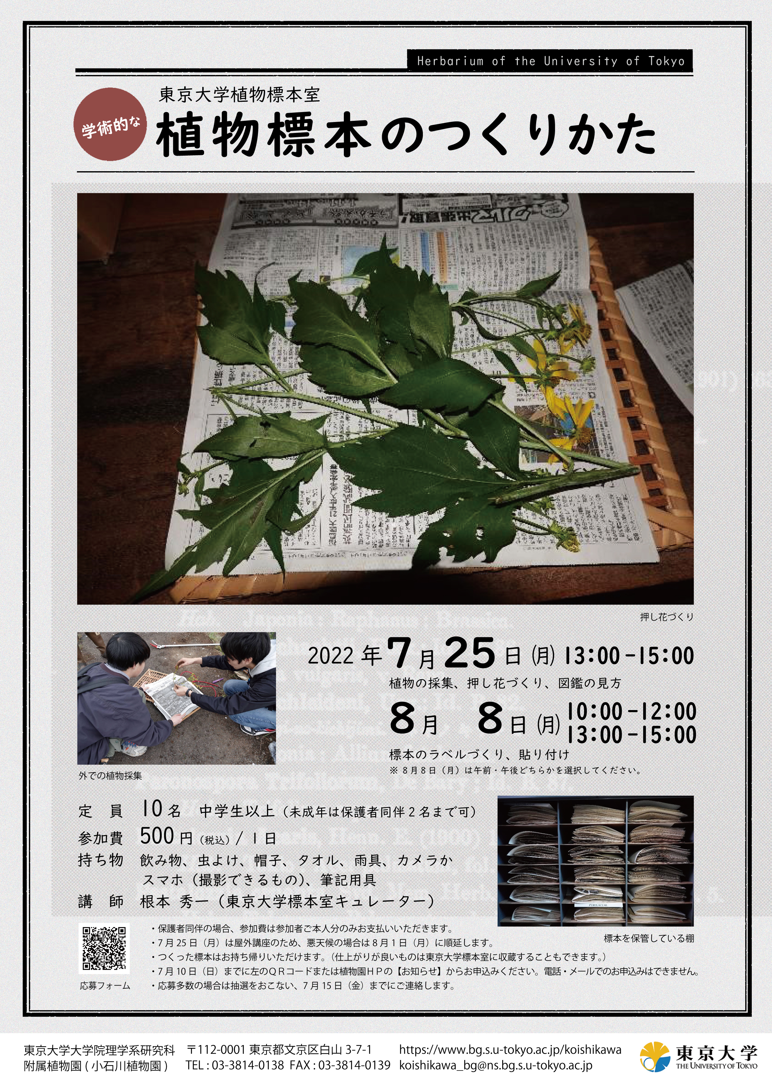 2022夏のイベント・東京大学植物標本室『学術的な植物標本のつくりかた』(小石川植物園)のご案内