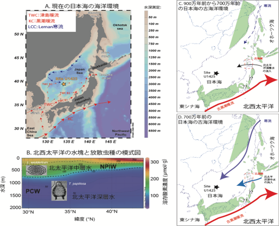 約750万年前の地球寒冷化に伴う日本海の海洋循環の変化と化石生物の絶滅