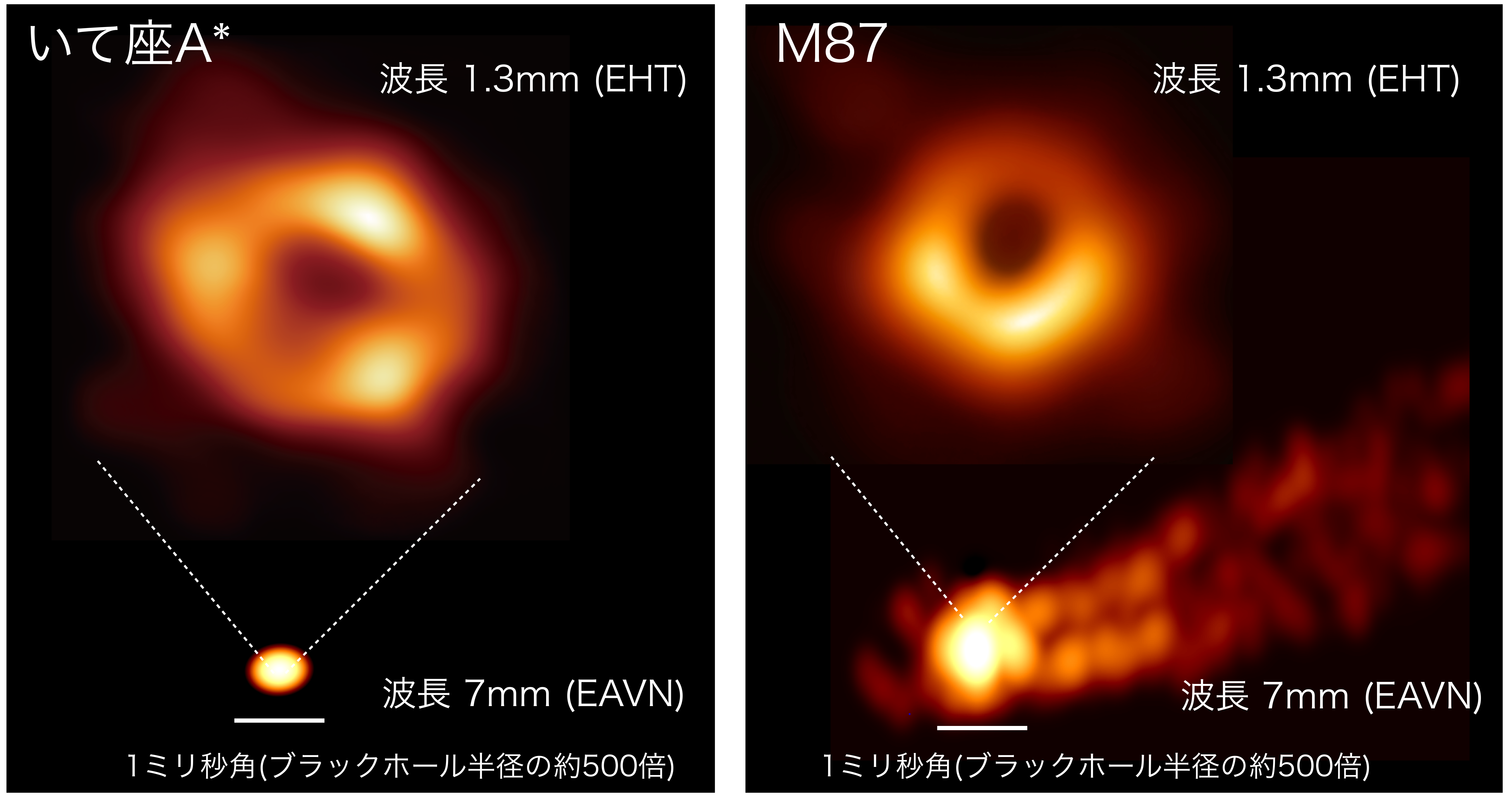 理学の謎　第18回　見えない天体・ブラックホールを見る