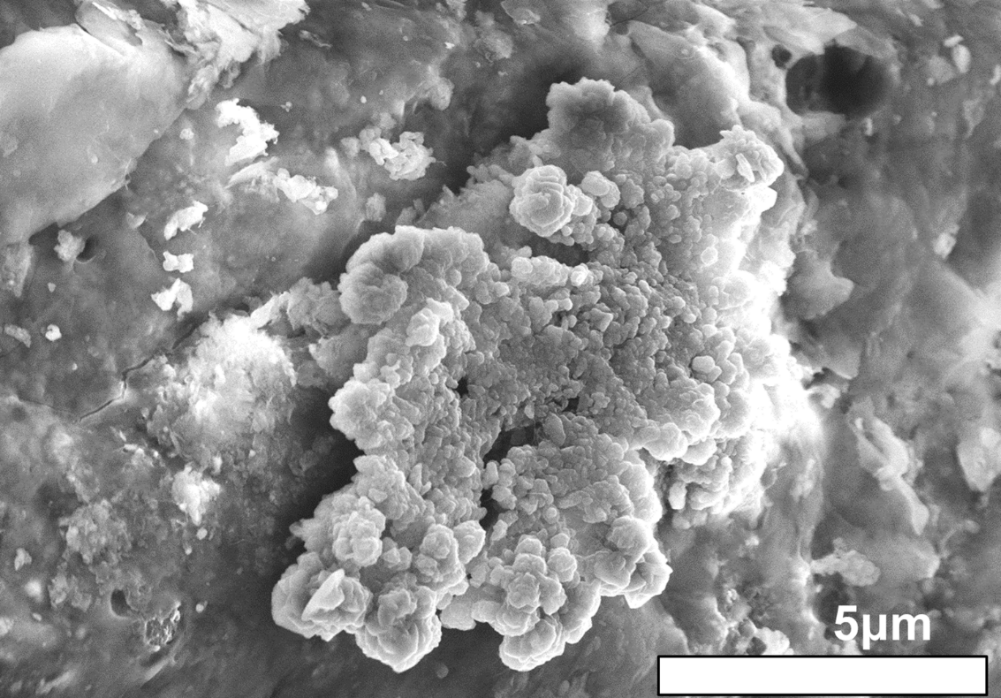 炭素質小惑星リュウグウの形成と進化：リターンサンプルから得た証拠