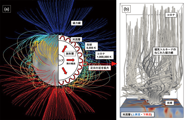 理学のススメ　第11回　磁場の「竜巻」が太陽コロナを加熱する