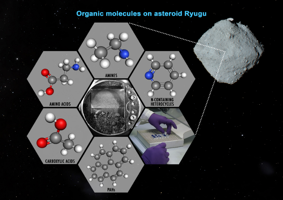 Soluble organic molecules in samples from the carbonaceous asteroid (162173) Ryugu