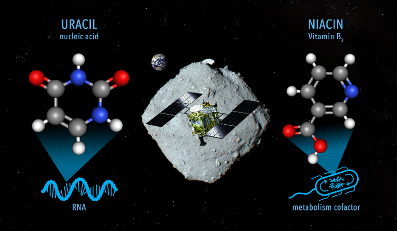 小惑星リュウグウに核酸塩基とビタミンが存在！